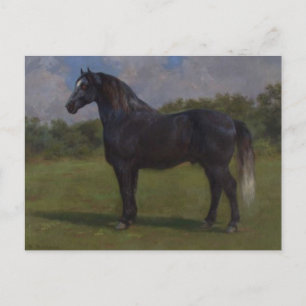 Carte Postale Madere par Rosa Bonheur Postcard