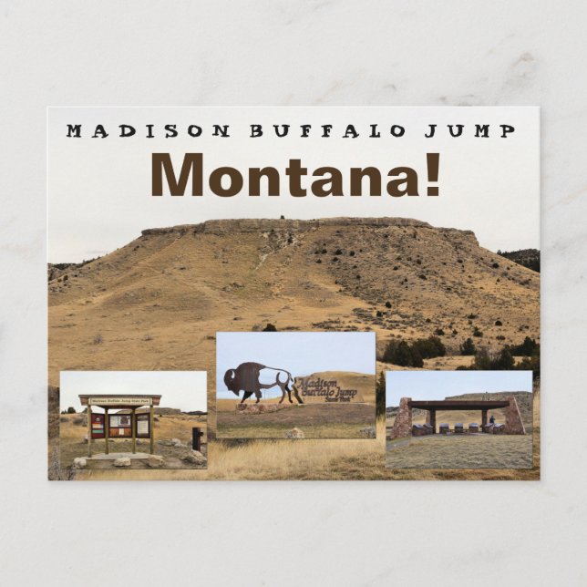 Carte Postale Madison Buffalo Jump (Devant)