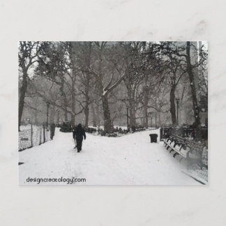 Carte Postale Madison Carré Garden