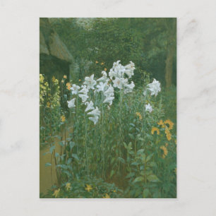 Carte Postale Madonna Lilies dans un jardin