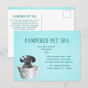 Carte Postale Magasin d'animaux familiers