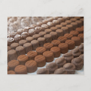 Carte Postale magasin de chocolat étalage de chocolat