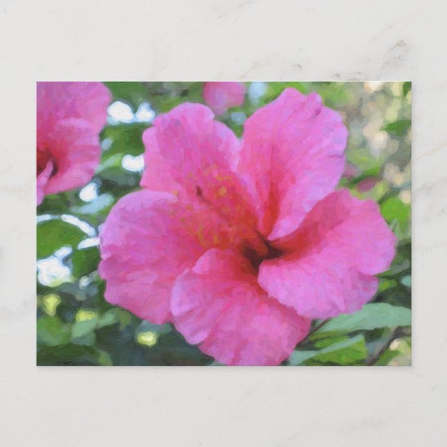 Carte postale Magenta Hibiscus (Devant)