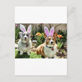 Carte Postale Maggie & Chuck