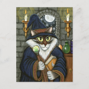 Carte Postale Magicien Merlin Magicien Cat Magic Sorcerer Imagin