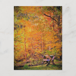 Carte Postale Magie d'automne