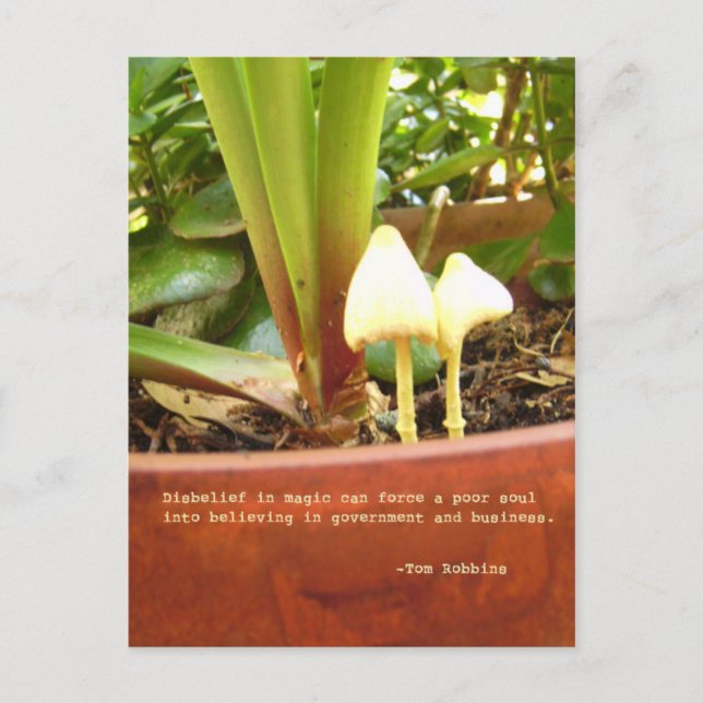 Carte postale magique (Devant)