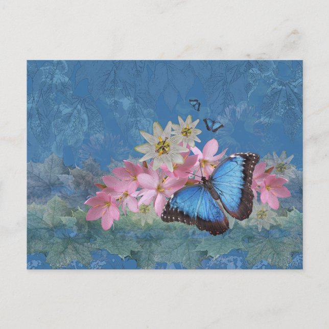 Carte postale magique Morpho (Devant)