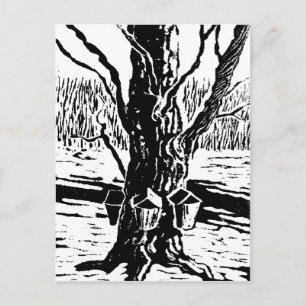 Carte postale magique Springtime