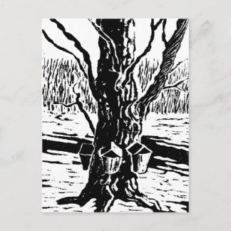 Carte postale magique Springtime