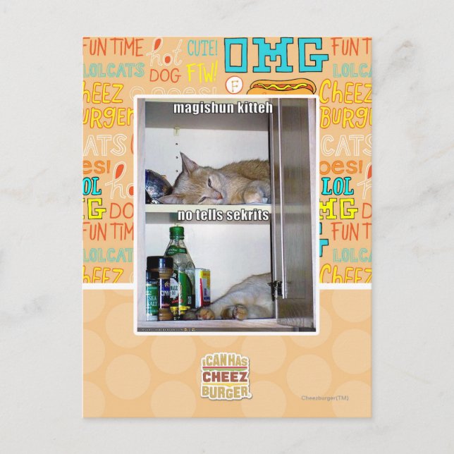 Carte Postale Magishun Kitteh (Devant)