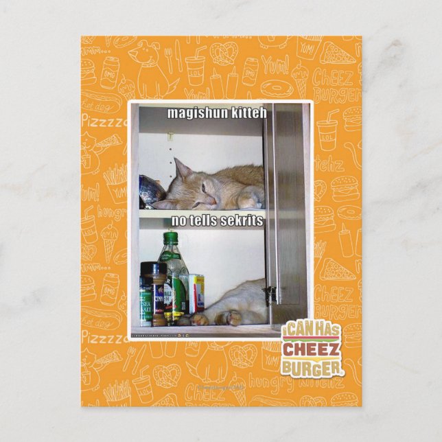 Carte Postale Magishun Kitteh (Devant)