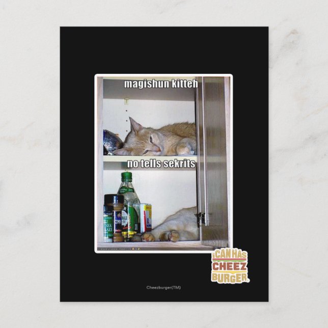 Carte Postale Magishun Kitteh (Devant)