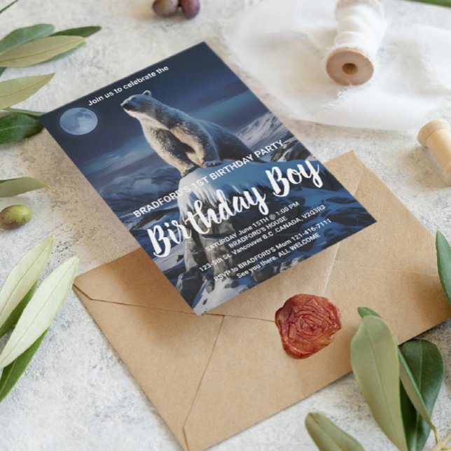 Carte Postale Magnifique Aardvark dans un champ serein (Créateur téléchargé)