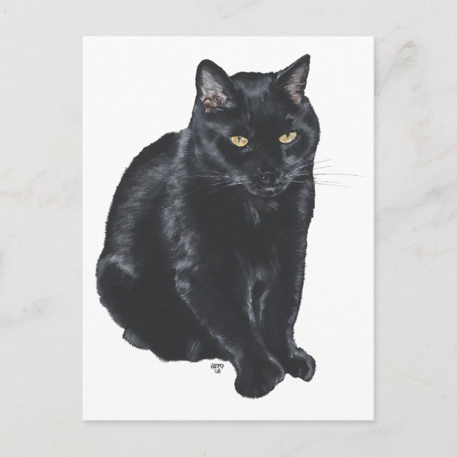 Carte Postale Magnifique Chat Noir (Devant)