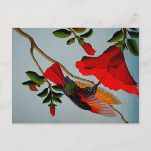 Carte Postale Magnifique Colibri