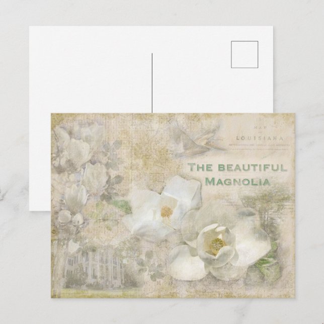 Carte Postale Magnifique Magnolia Vintage Collage (Devant / Derrière)