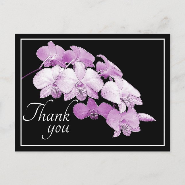 Carte Postale Magnifiques orchidées roses sur fond noir Merci (Devant)