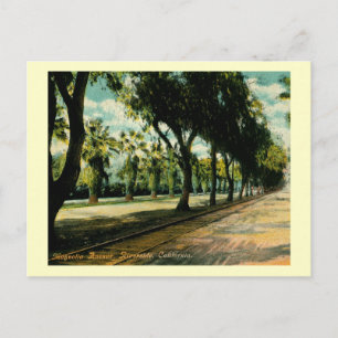Carte Postale Magnolia Ave., Riverside, Californie Vintage