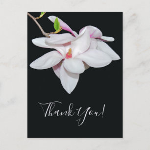 Carte Postale Magnolia blanc