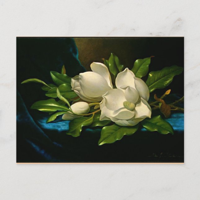 Carte Postale Magnolia géante en velours bleu (Devant)