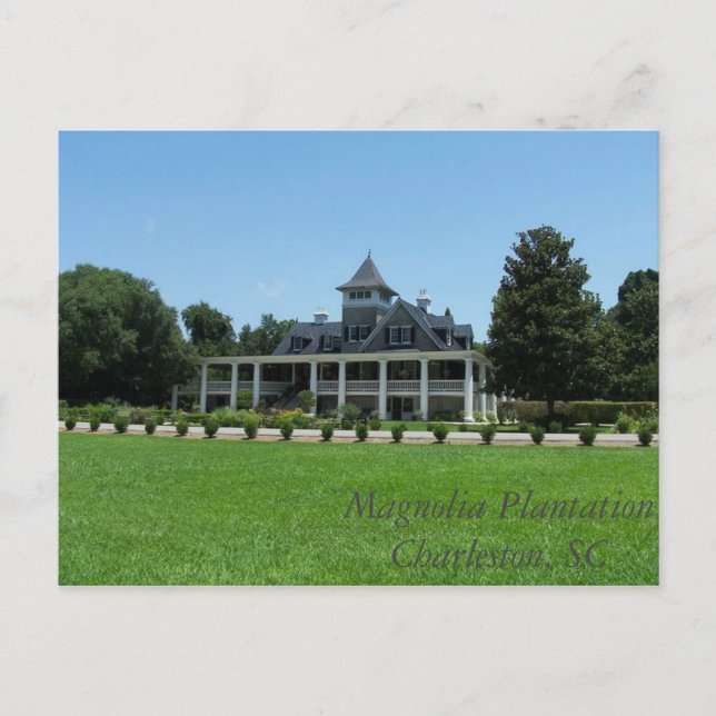 Carte postale Magnolia Plantation (Devant)