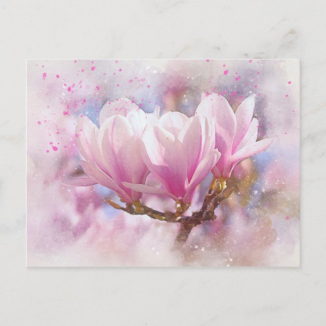 Carte Postale Magnolia rose-pourpre en floraison - Fleur de prin (Devant)