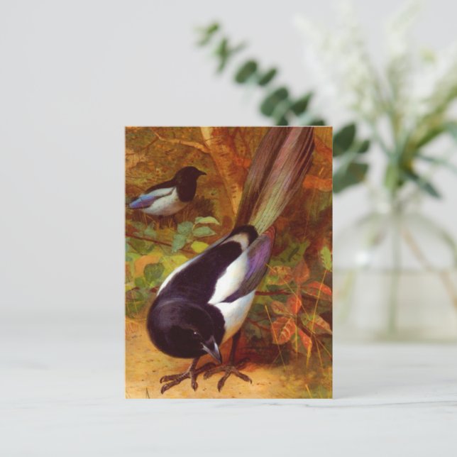 Carte Postale Magpies, peinture d'Archibald Thorburn, (Debout devant)