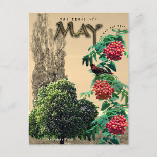 Carte Postale Mai Mois Arbres châtaigniers Rowan Ash, peuplier 2