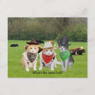 Carte Postale Main du ranch - Chats de travail
