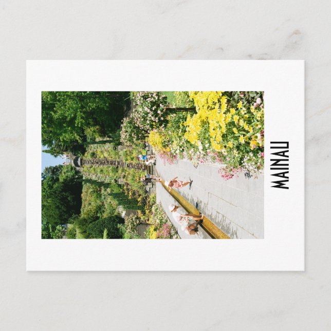 Carte Postale Mainau Postcard (Devant)