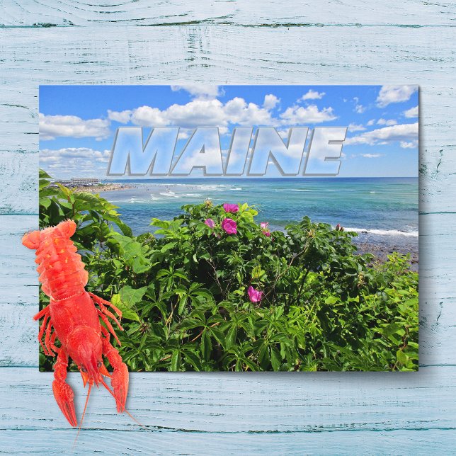 Carte Postale Maine (Créateur téléchargé)