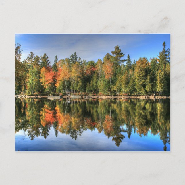 Carte Postale Maine Automne automne Foliage Lake Réflexions (Devant)