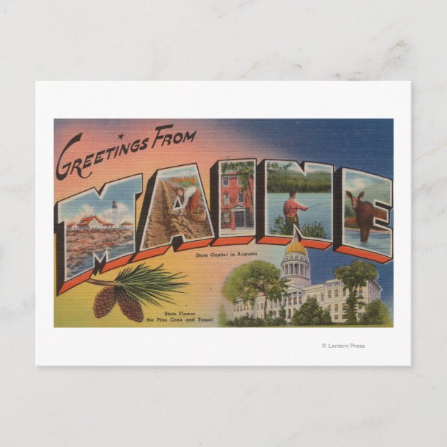 Carte Postale Maine (Capitale/Fleur d'État) (Devant)