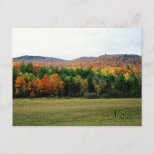 Carte Postale Maine Foliage