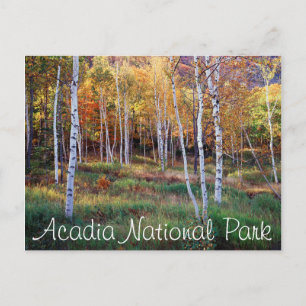 Carte Postale Maine, Parc national d'Acadia, Automne