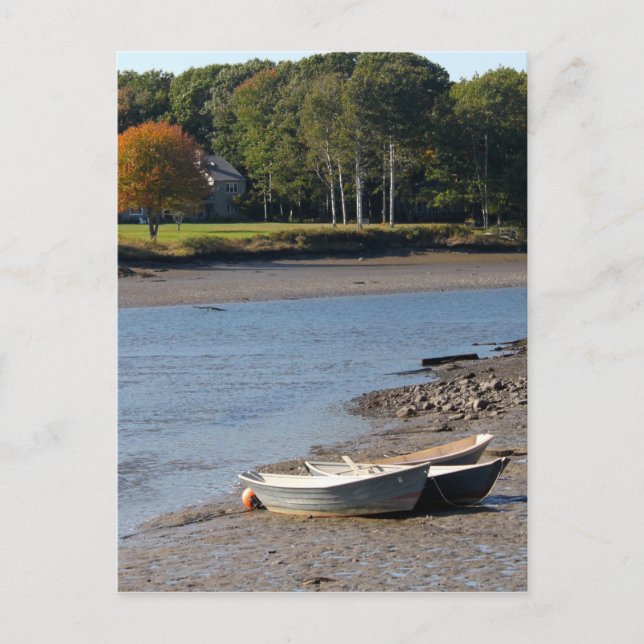 Carte Postale Maine Rowboats Photo (Devant)