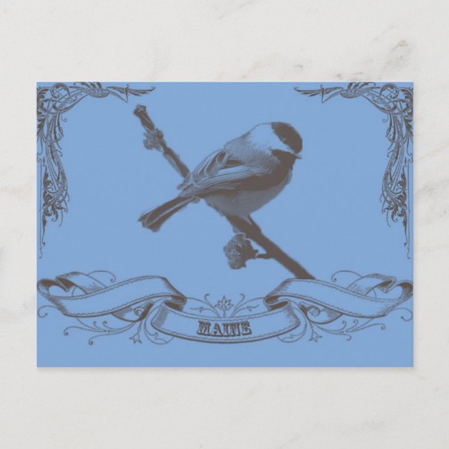 Carte Postale mainechickade (Devant)