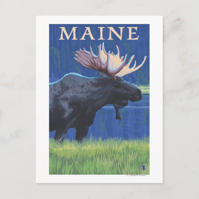 Carte Postale MaineMoose au clair de lune (Devant)