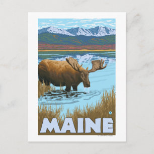 Carte Postale MaineMoose Boire dans le lac