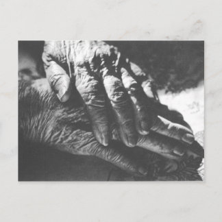 Carte Postale Mains grand-mère