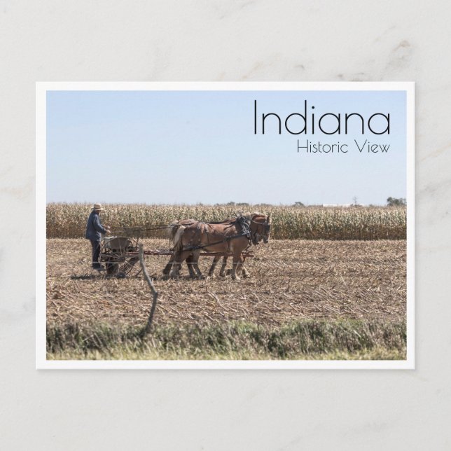 Carte Postale Maïs de plantation agricole Amish (Devant)