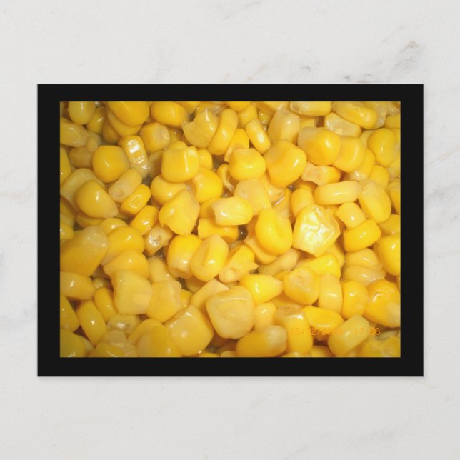 Carte Postale Maïs doux (Devant)