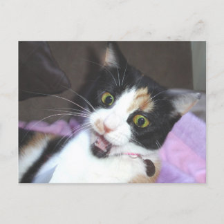 Carte Postale maisie