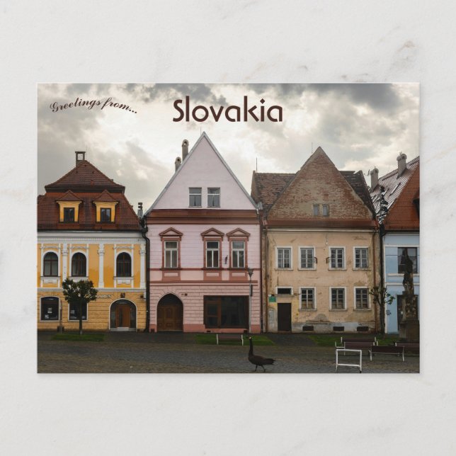 Carte Postale Maisons à Bardejov Slovaquie (Devant)