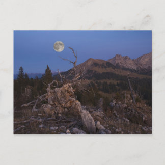 Carte Postale Maîtresse De La Nuit