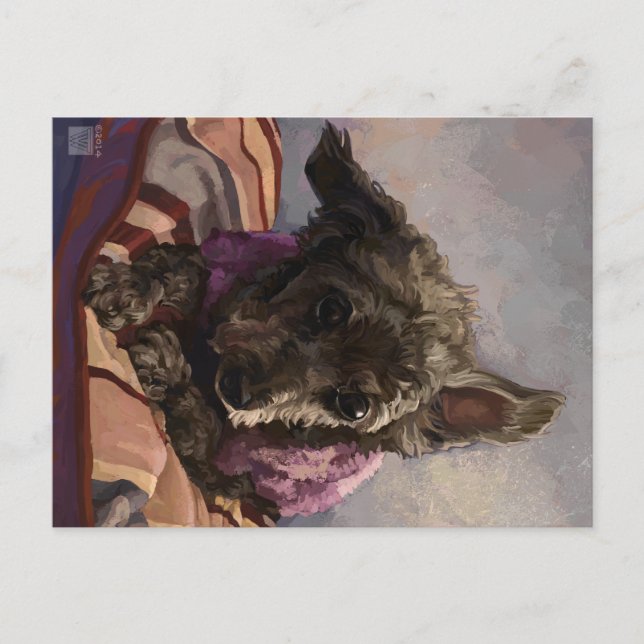 Carte Postale Maîtriser le caniche (Devant)