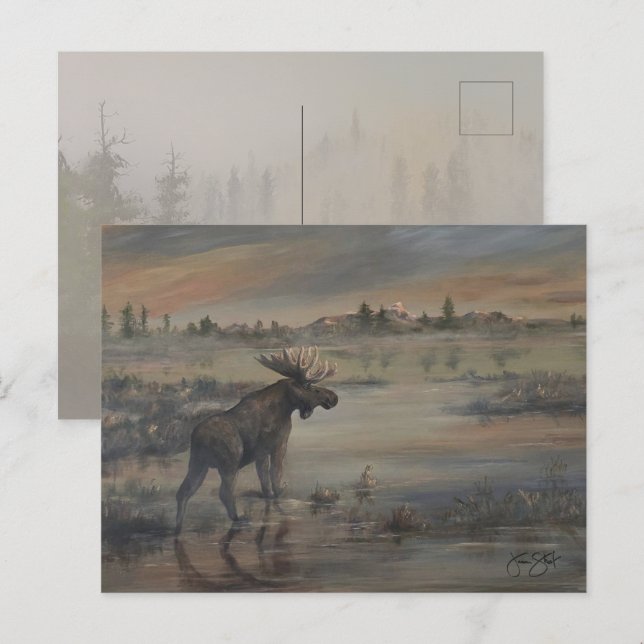 Carte Postale Majestic Moose (Devant / Derrière)