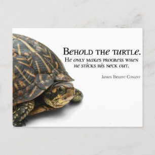 Carte Postale Makes Progress