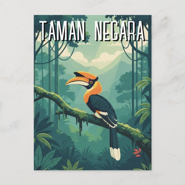 Carte Postale Malaisie Taman Negara Hornbill (Devant)